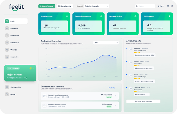 Feelit Dashboard